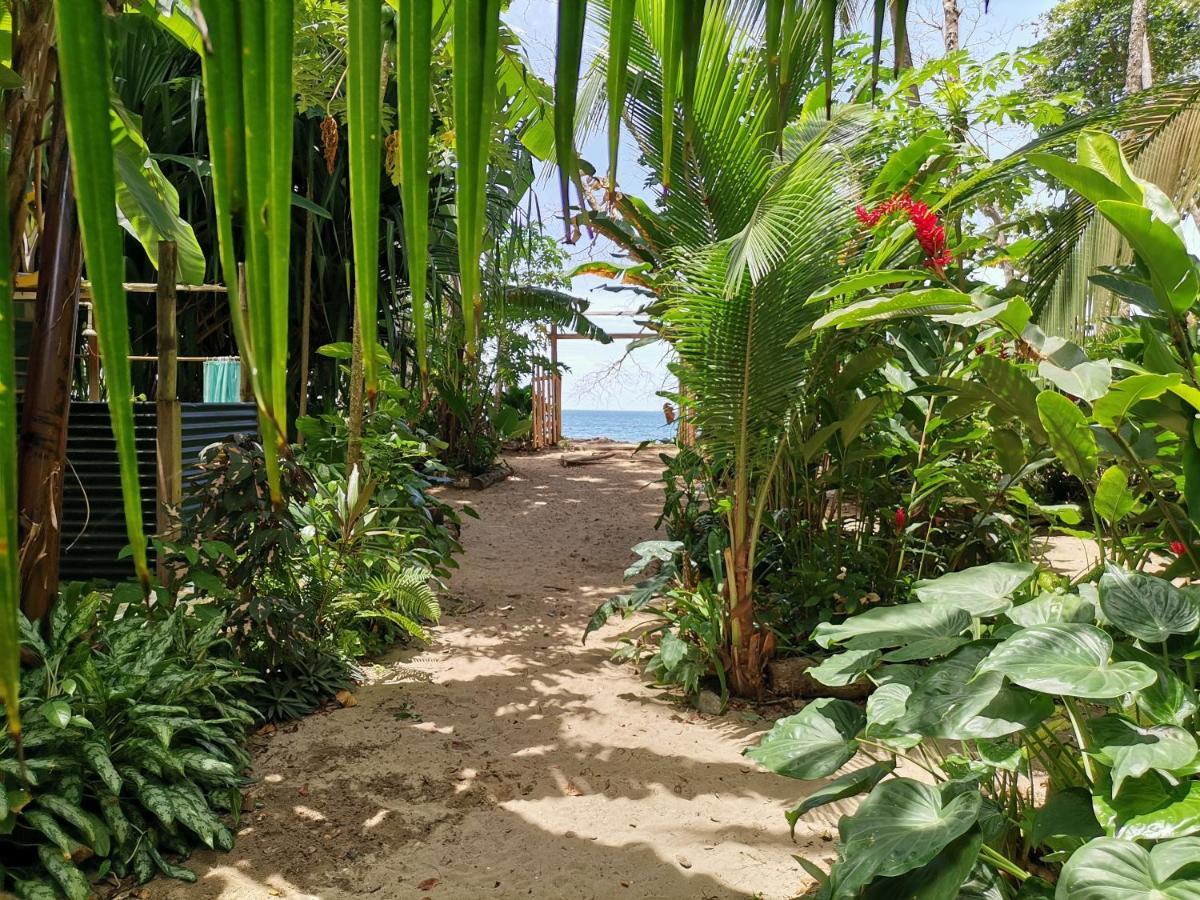 Oasis Beachfront Hostel Puerto Limon Kültér fotó