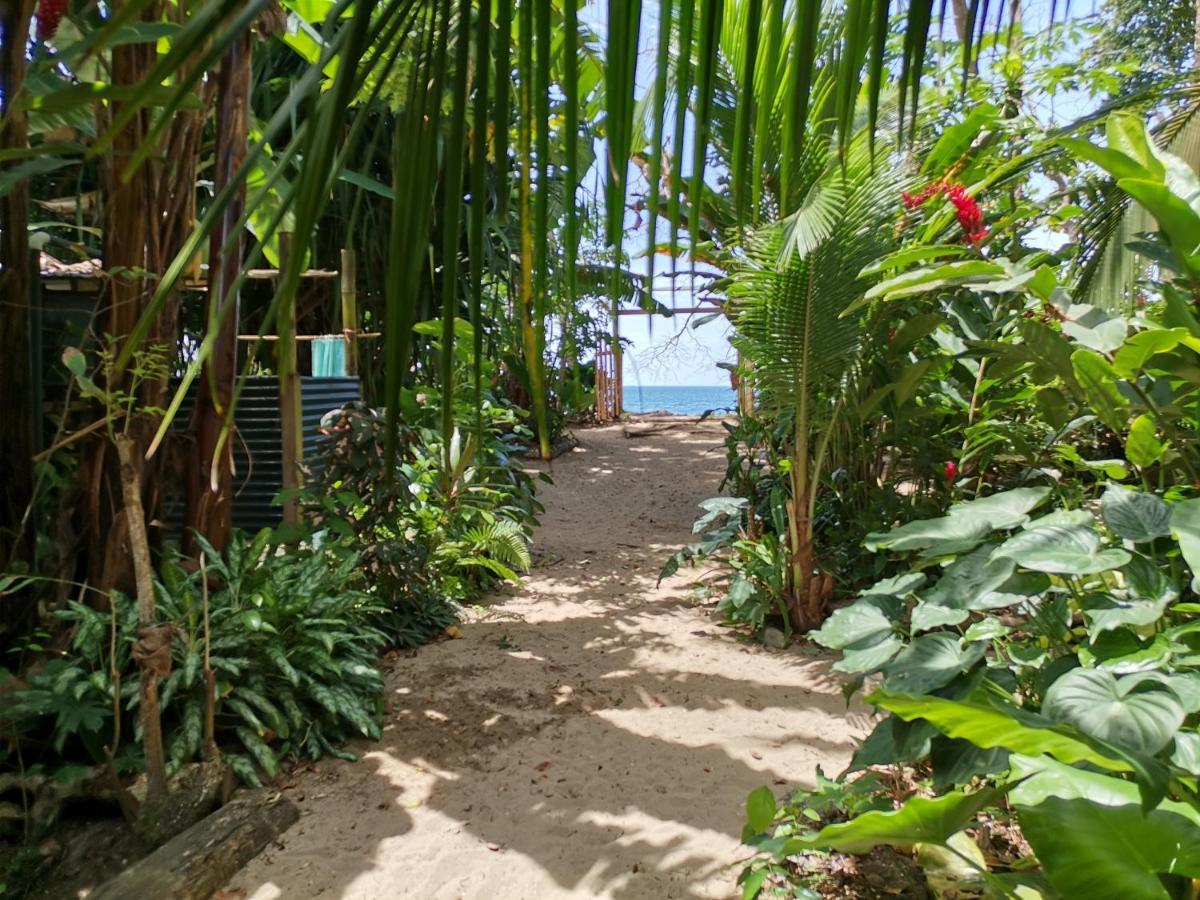 Oasis Beachfront Hostel Puerto Limon Kültér fotó