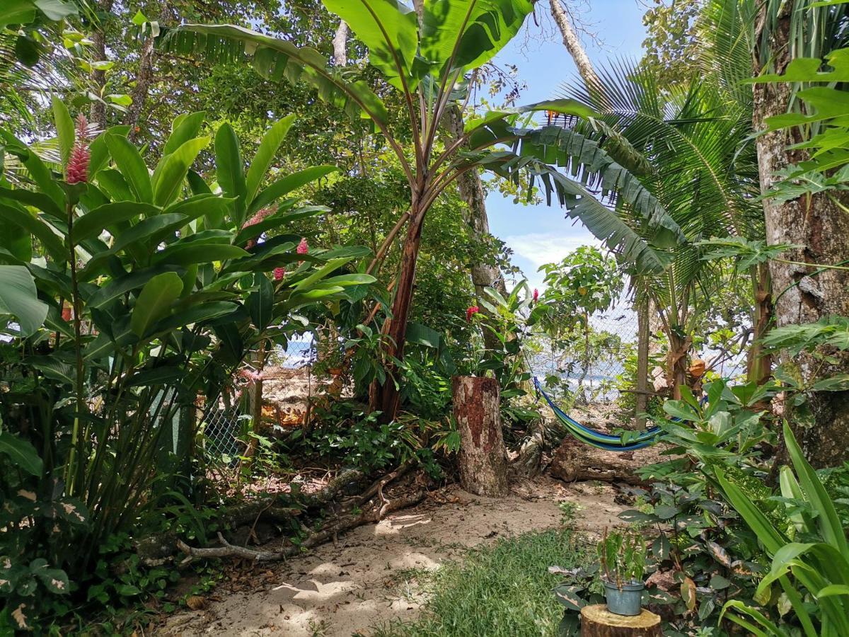 Oasis Beachfront Hostel Puerto Limon Kültér fotó
